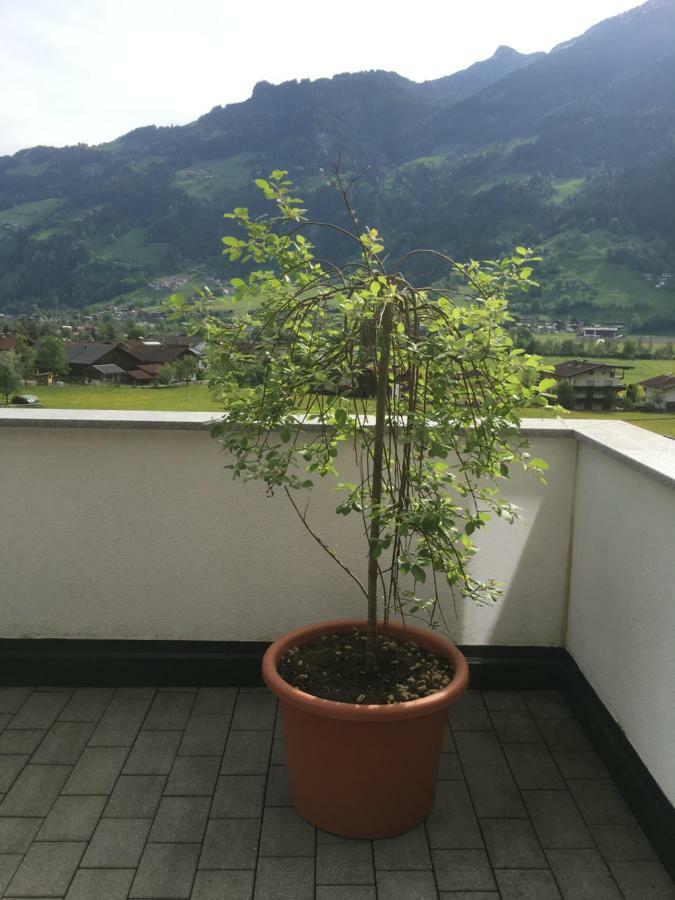 Ferienwohnung Walder Mayrhofen Exterior photo